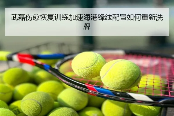 武磊伤愈恢复训练加速海港锋线配置如何重新洗牌